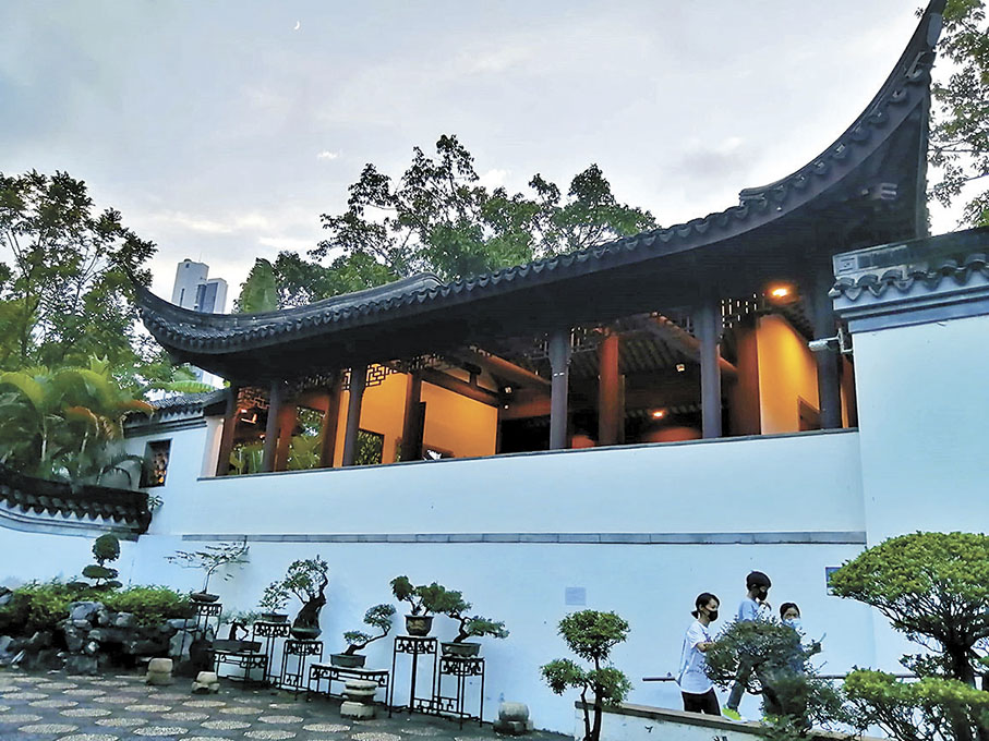 ◆公園內的嶺南盆景造型獨特。