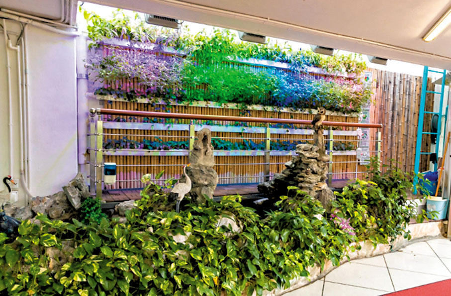 ◆保良局羅傑承（一九八三）中學創建的「魚菜共生中草藥園」。