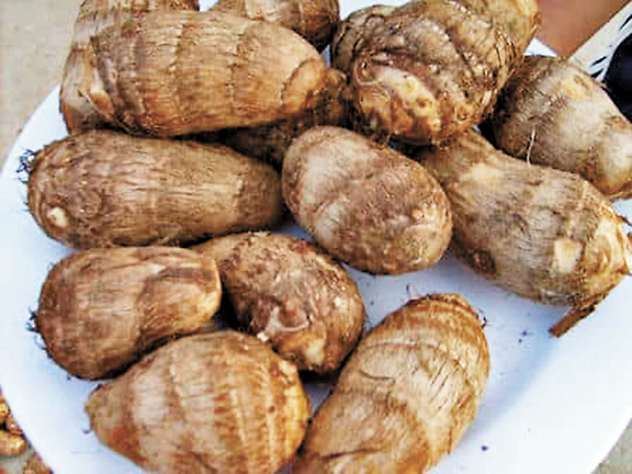 ◆芋頭　資料圖片