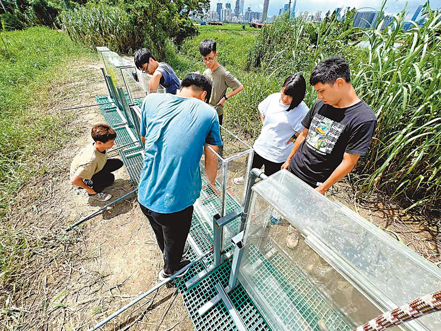 ◆微藻反應器可實現大規模建設。圖為團隊在搭建反應器示範場。香港文匯報廣州傳真