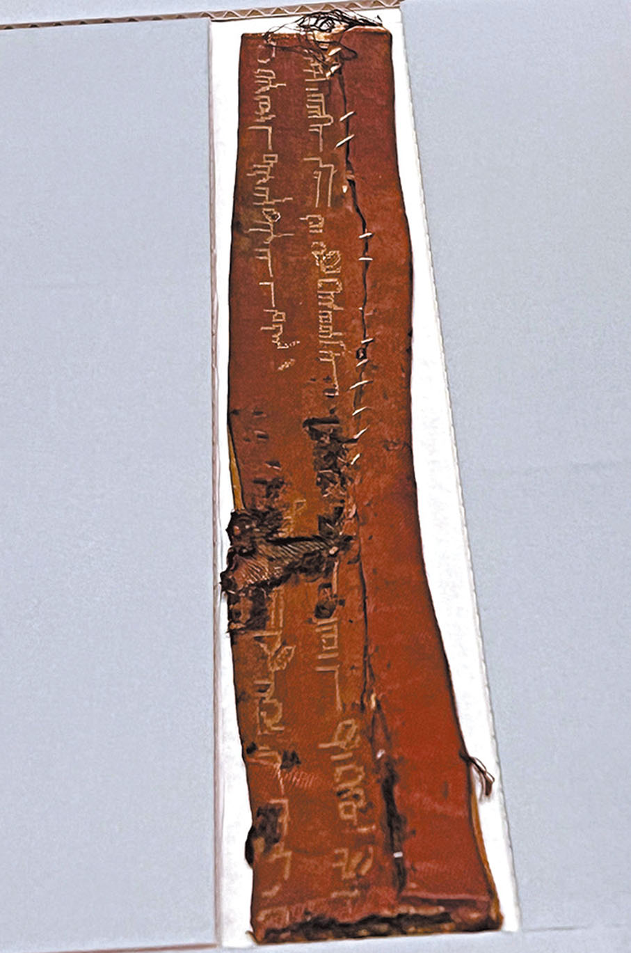 ◆出土於都蘭熱水墓地的唐（吐蕃時期）紫地婆羅缽文字錦殘片（絲）