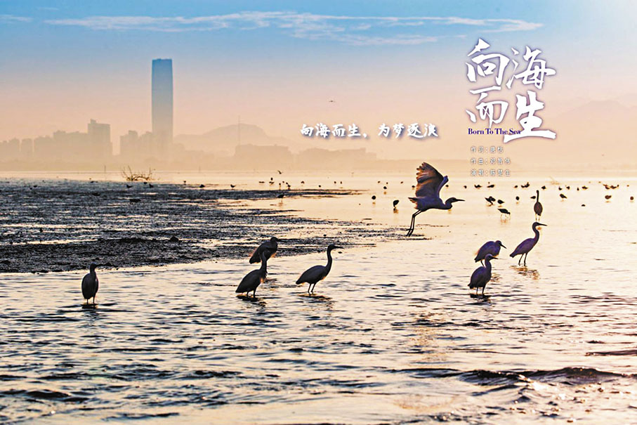 ◆海上有風浪，等鷺鳥歌唱。