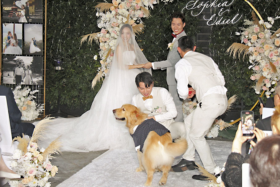 ◆一對新人的愛犬送上婚戒。