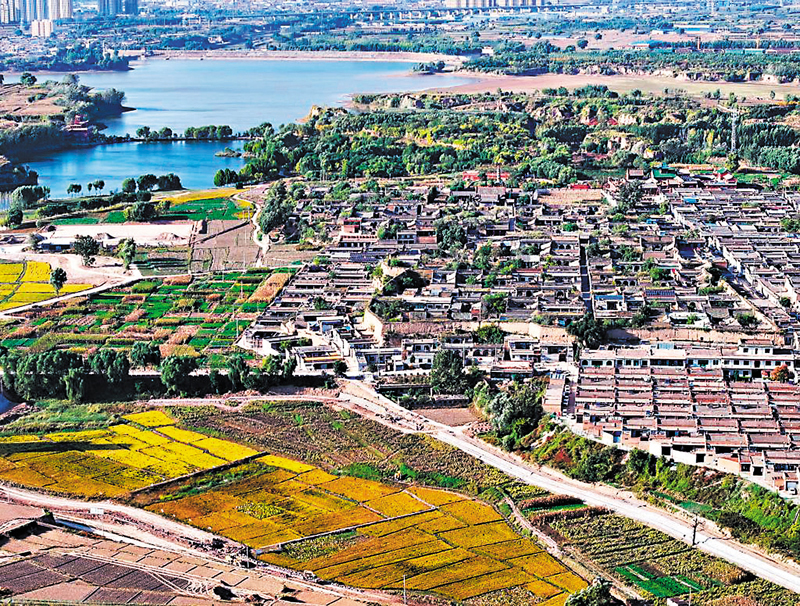 ◆梁村的稻田風光與農村風貌交相輝映。