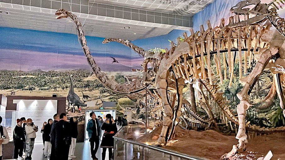 ◆港生在楚雄州博物館看到香港科學館同款恐龍化石。香港文匯報記者譚旻煦 攝