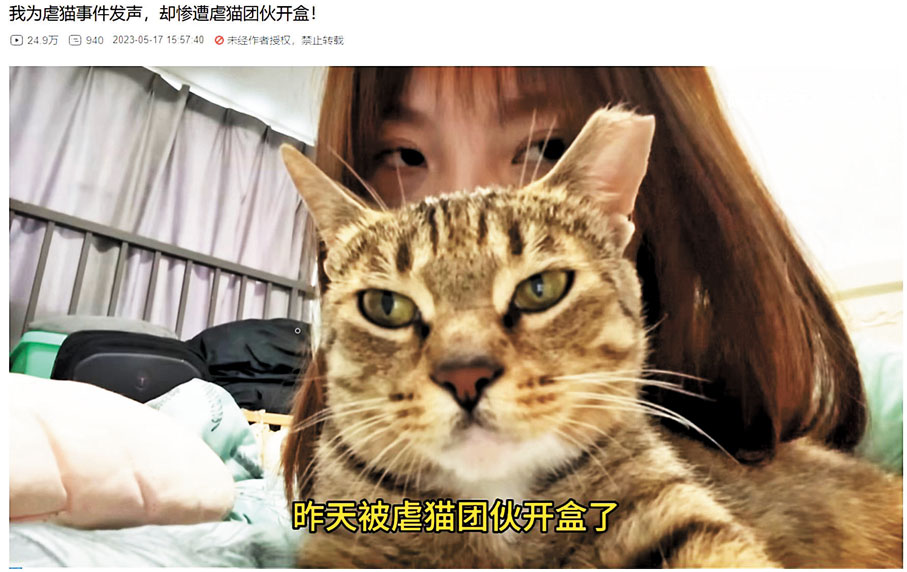 ◆素人博主被虐貓組織「開盒」。 網上圖片