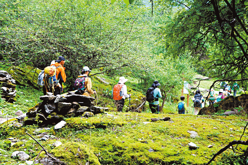 ◆香港遊客徐先生今年暑假參加的普達措國家公園四日徒步團。 受訪者供圖