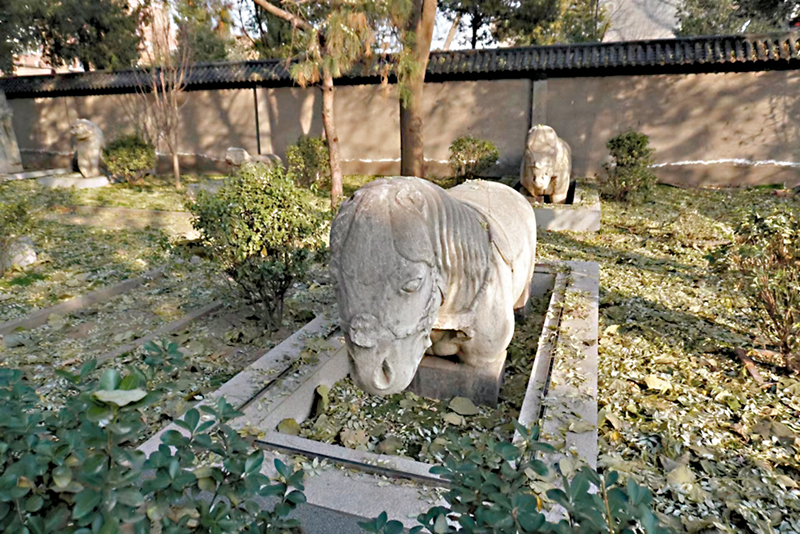 ◆金中都城遺蹟附近的文物。香港文匯報記者馬曉芳 攝