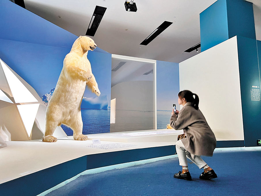 ◆展覽現場，觀眾參觀北極熊標本。