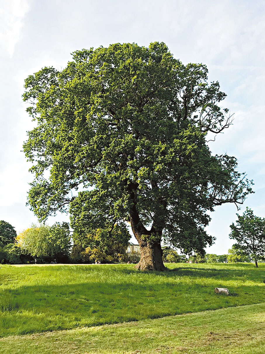 科學講堂】稀土金屬難提取細菌「工人」來幫忙- 香港文匯報