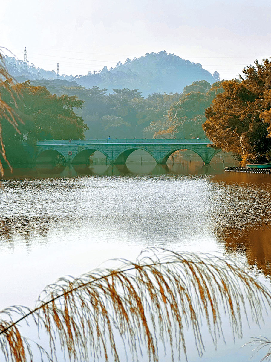 ◆廣州大夫山。作者供圖