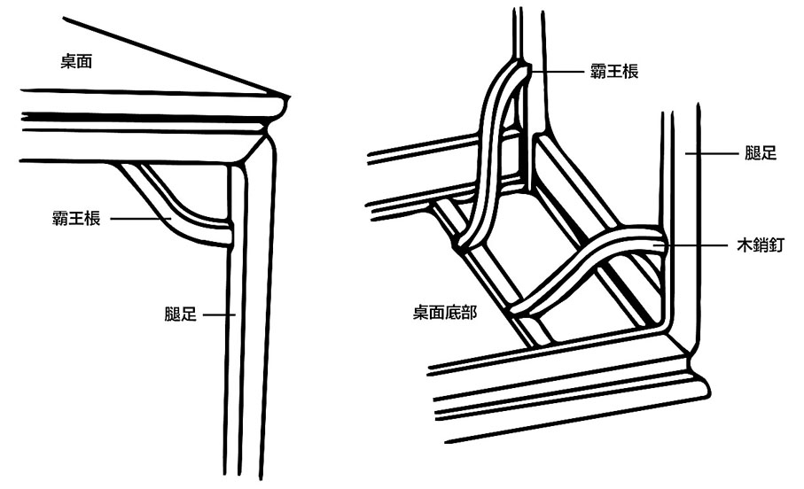 ◆霸王棖圖解（圖片來源：網絡）