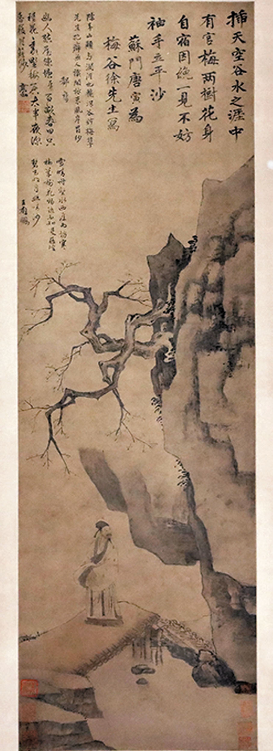 ◆觀梅圖。 香港文匯報記者黃艾力  攝