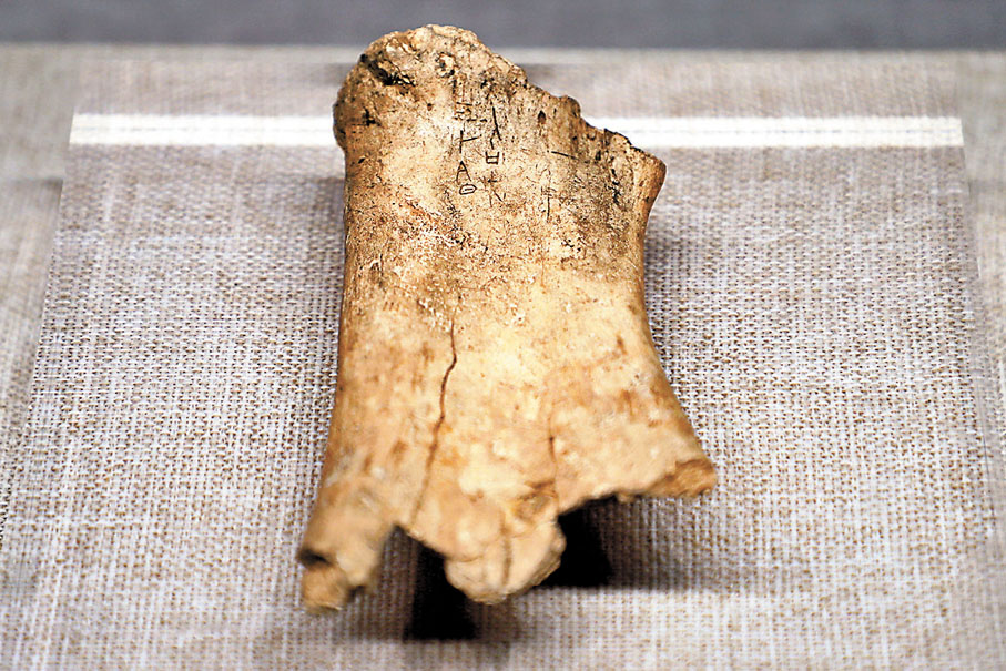 ◆商代 刻辭卜骨