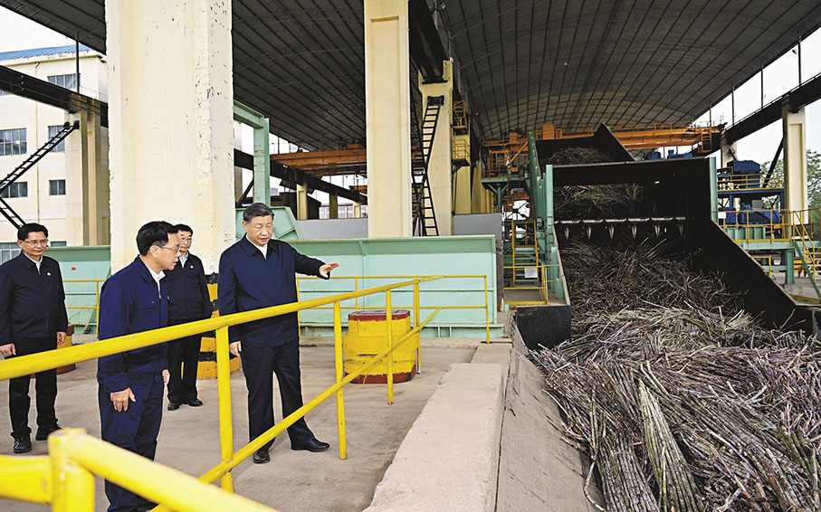 ◆12月14日下午，習近平總書記在廣西來賓市考察調研。他先後來到來賓市國家現代農業產業園黃安優質「雙高」糖料蔗基地和東糖鳳凰有限公司，了解甘蔗良種繁育、種植收成、糖產業發展等情況。這是習近平在來賓東糖鳳凰有限公司考察。 新華社