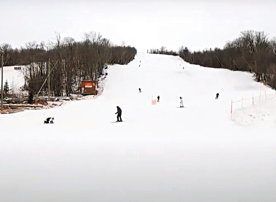 ◆加拿大人熱愛滑雪，但多地入冬後降雪量不足。  成小智 攝
