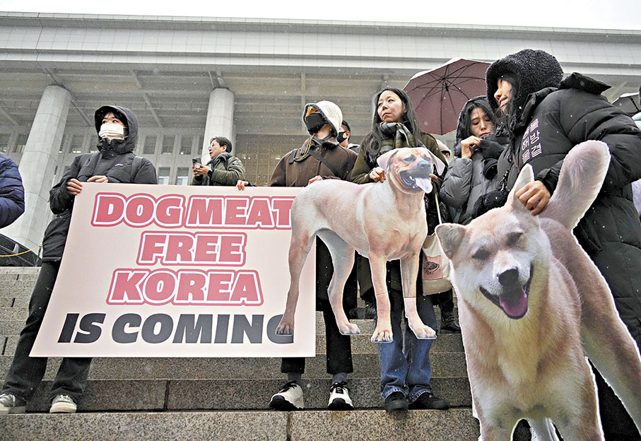 ◆動物保護組織在國會外聚集，等待法案通過的消息。 美聯社