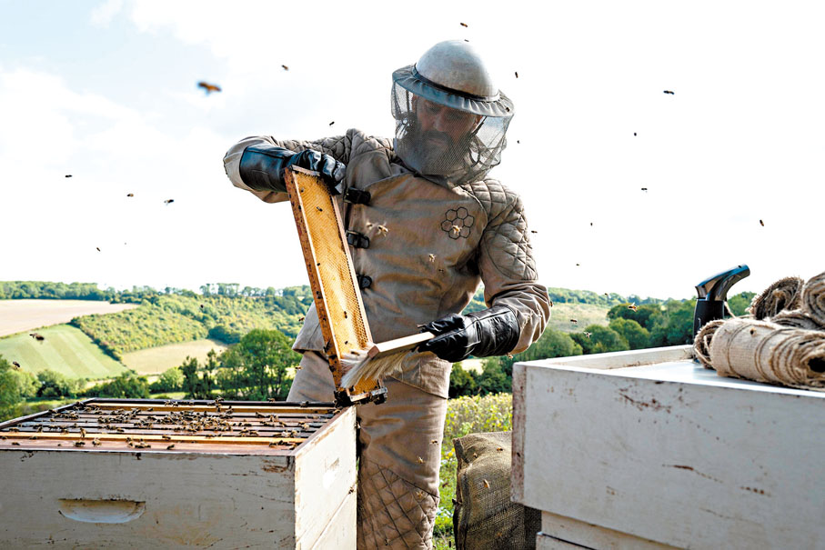 ◆積遜史達頓在新作《蜂神惡殺》飾演「養蜂人」。