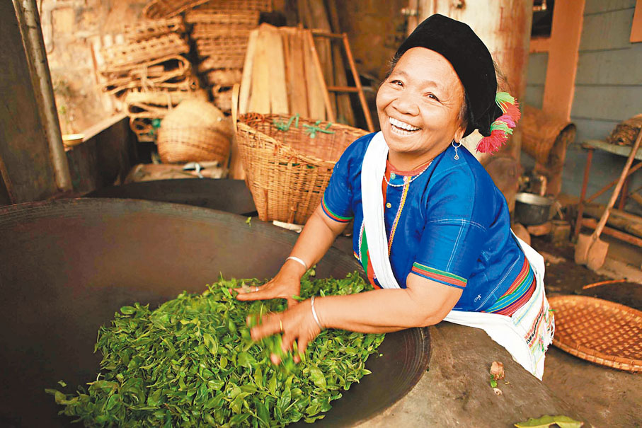 ◆景邁茶由傳統手工藝製作。