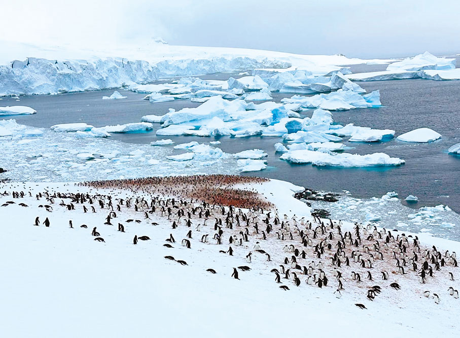 ◆南極冰川風景與企鵝。