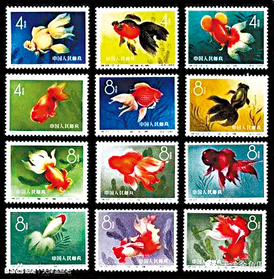 ◆《金魚》郵票（1960年）