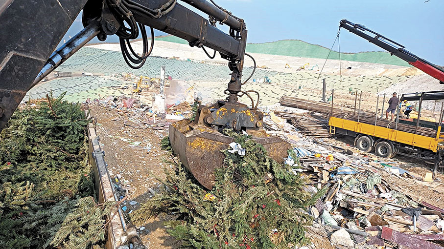 ◆有市民發現新界西堆填區近日充斥大量本來可作回收的聖誕樹，甚為惋惜。 受訪者供圖