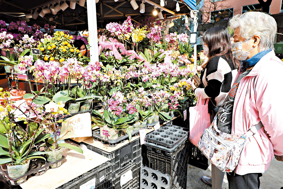 ◆ 圖為市民在花墟買年花。 資料圖片