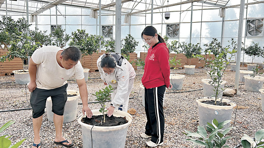 ◆小院同學和農戶在實驗棚裏查看果樹施肥情況。 香港文匯報 記者譚旻煦 攝