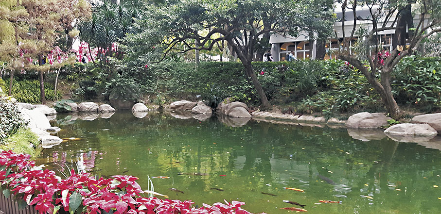 ◆喜見可愛的香港公園滿載適度的人氣、旺氣…… 作者供圖