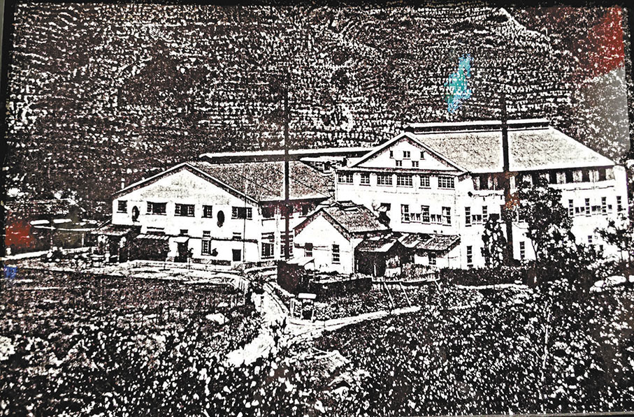 ◆大板根渡假村原址的老照片。