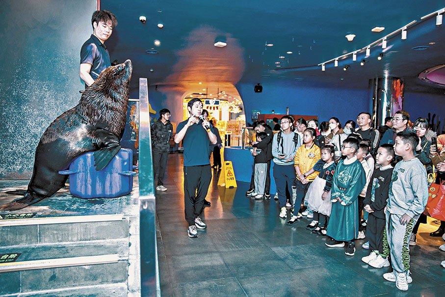 ◆深圳歡樂海岸舉行海狗表演，港人帶小朋友觀看。 香港文匯報記者郭若溪  攝
