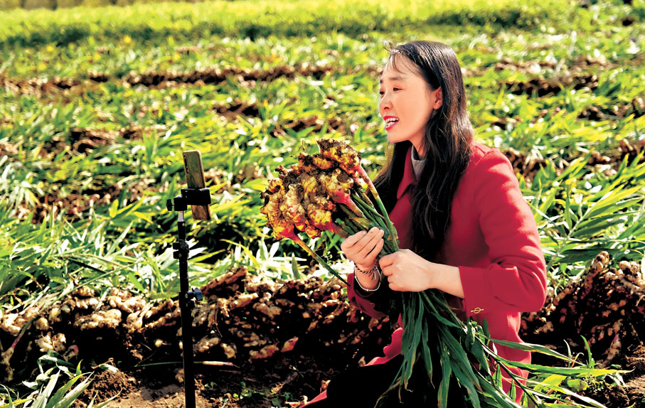 ◆全國人大代表梁倩娟在田間地頭進行直播，介紹家鄉好物。