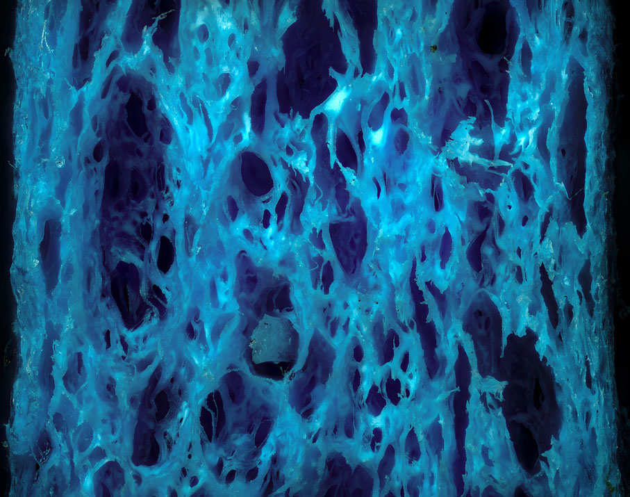 ◆顯微鏡下的纖維素。 網上圖片