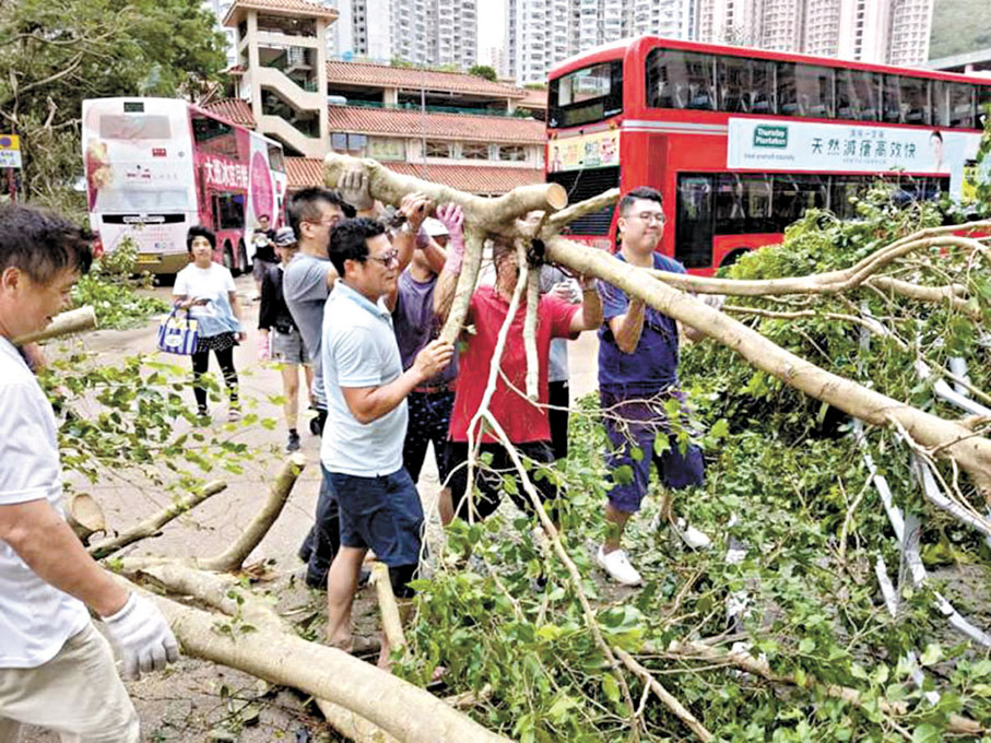◆颱風「山竹」過後，市民合力清理塌樹。