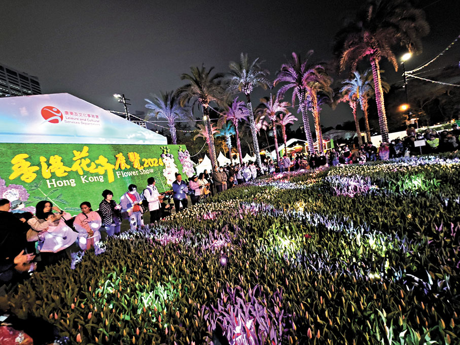 ◆每晚都會舉行三場「燈光秀」