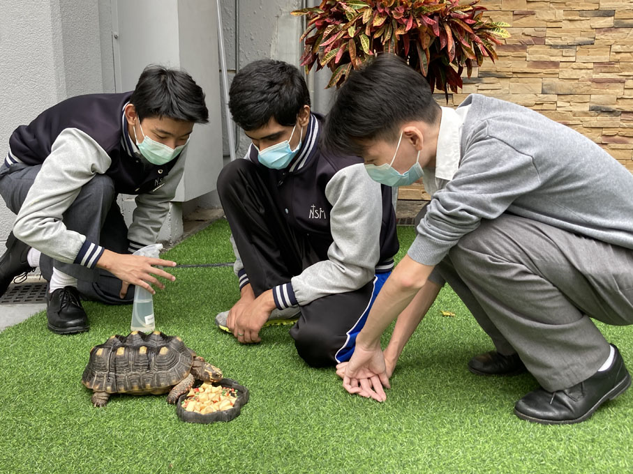 ◆學生親身到生態實驗室 EcoLab 照顧被棄養小動物。 作者供圖