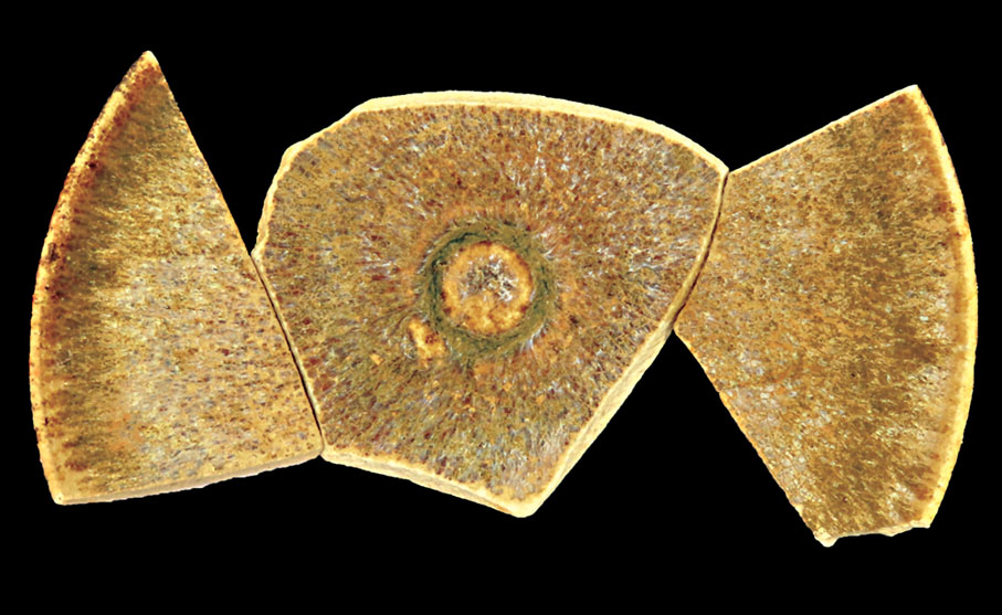 【產自吉州窰的鷓鴣斑釉盞】該釉盞帶有淺色斑點，貌似鷓鴣胸前的斑點，故被稱為「鷓鴣斑」，是這次考古發掘中質量較好的茶具