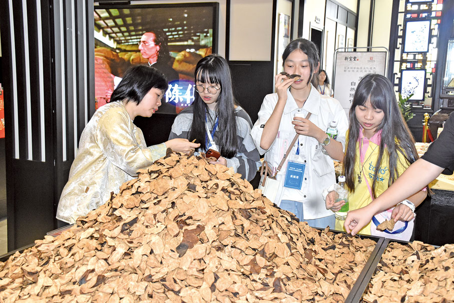 ◆團員在「廣東老字號」企業新寶堂了解陳皮獨特的價值和香氣。