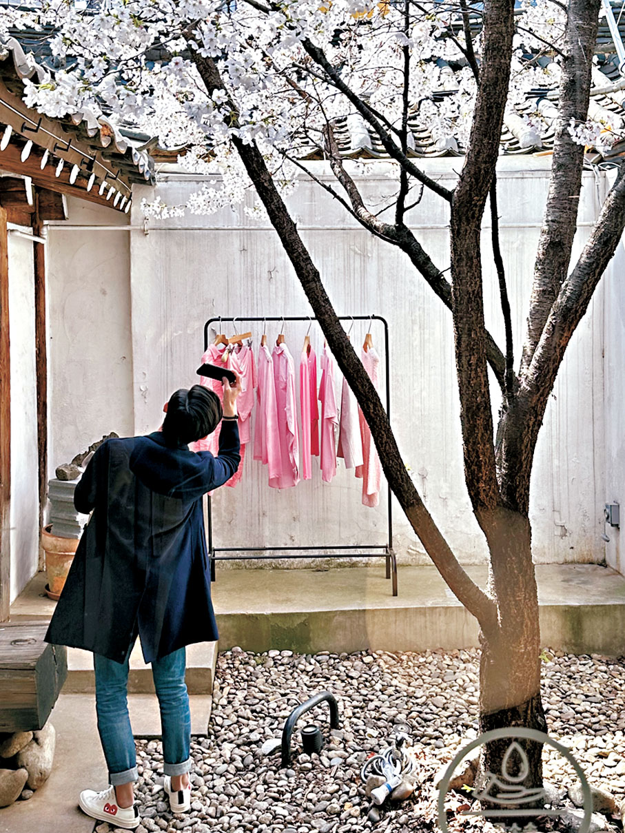◆首爾舊區仁寺洞老巷內別有洞天，一棵櫻樹，改變時裝店子的命運。 作者供圖