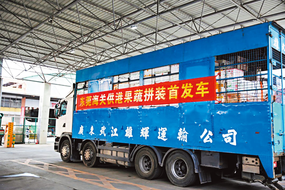 ◆廣東省內最大的供港蔬菜供貨點創新水果和蔬菜併裝出口到香港，提高效率。 受訪者供圖
