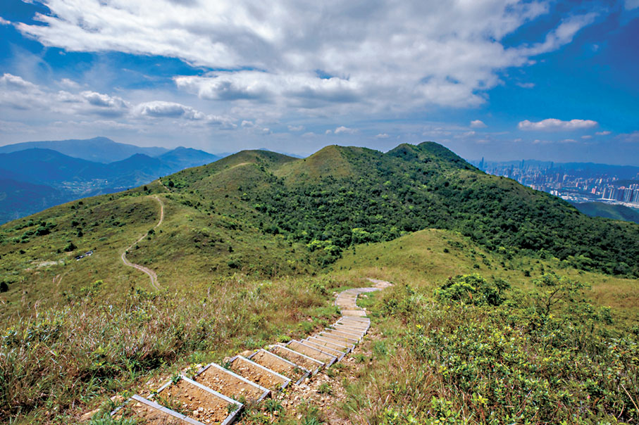 ◆紅花嶺郊遊徑。 圖片：政府新聞處