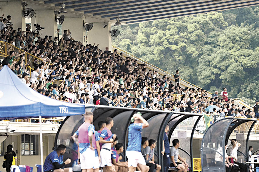 ◆大埔運動場吸引了近1500名球迷入場。 球會圖片