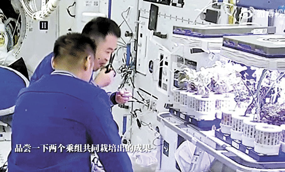 ◆神舟十七號乘組對「太空菜園」中種植出的新鮮蔬菜進行了採摘，並品嘗了新鮮美味的「太空蔬菜」。 網上圖片