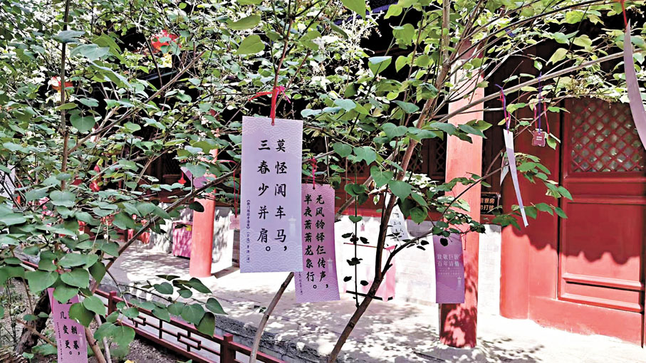 ◆法源寺內丁香樹枝頭懸掛多首詩歌。