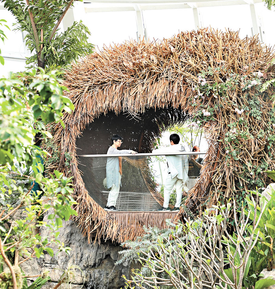 ◆植物館「鳥巢」景點