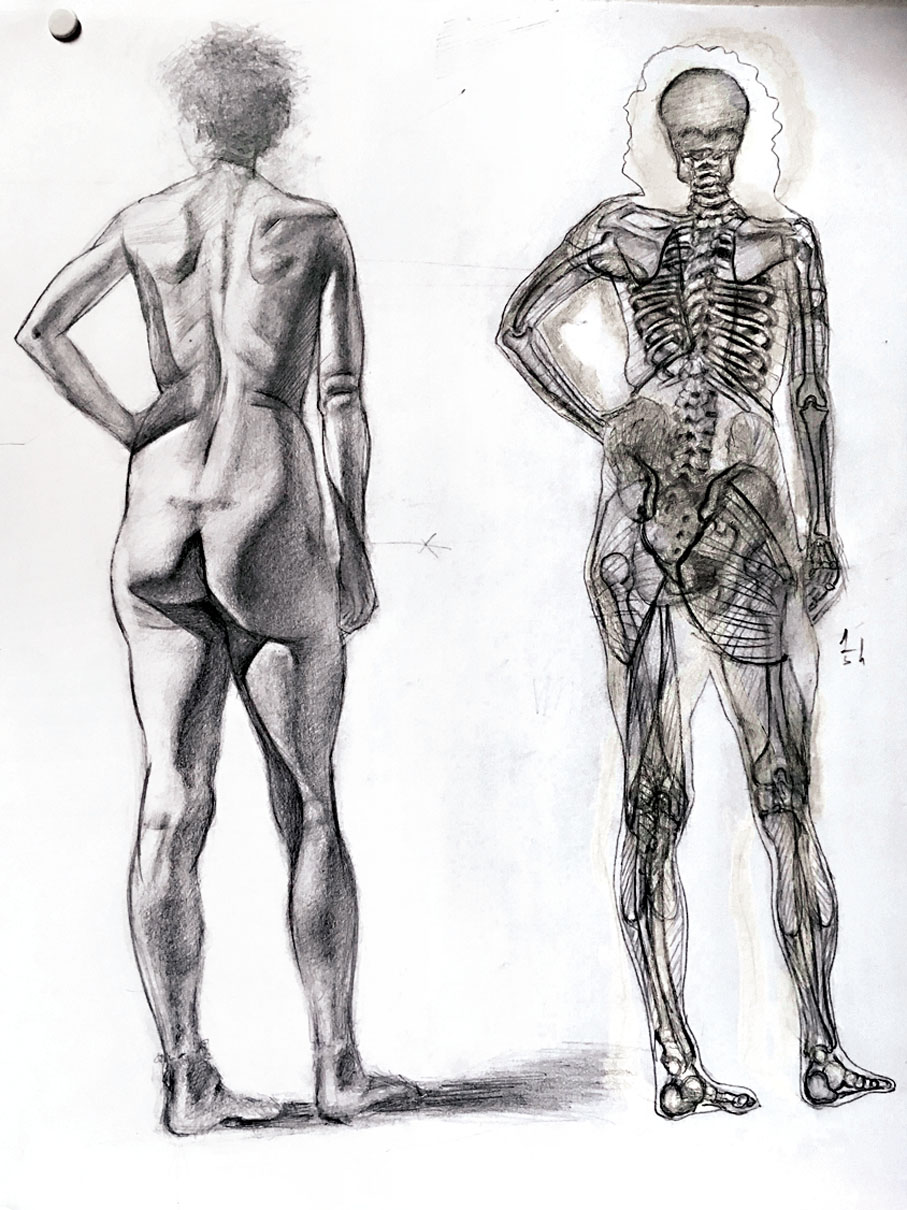 ◆了解骨骼結構才能明白肌肉形態。作者供圖