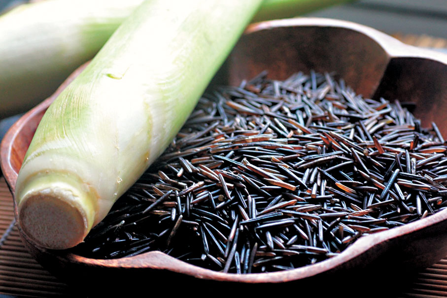 ◆ 菰米與茭白。 網上圖片