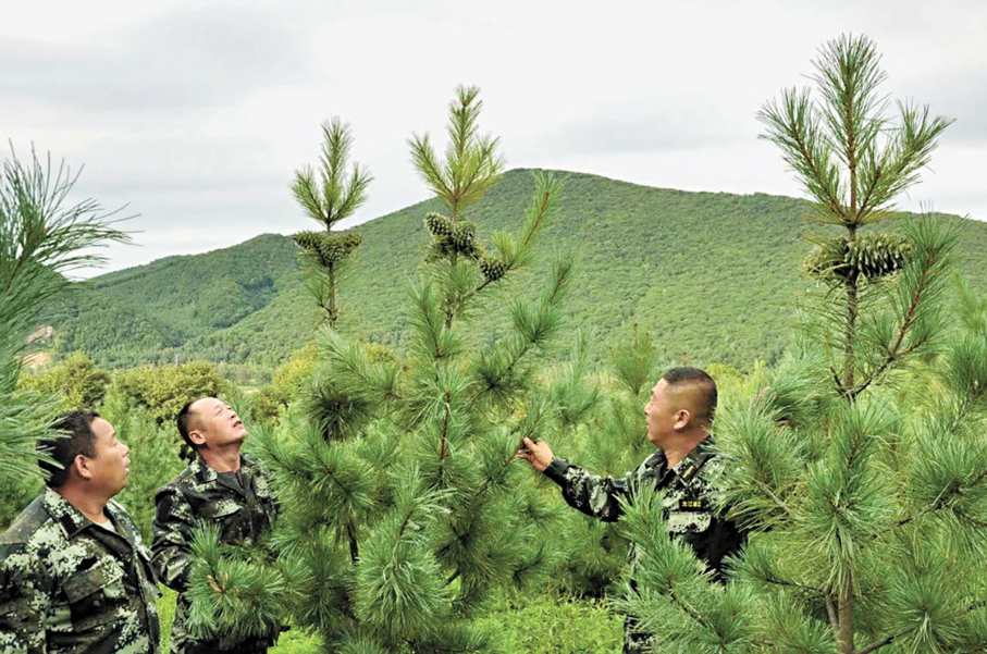 ◆珍貴野生植物種群出現持續恢復增長。