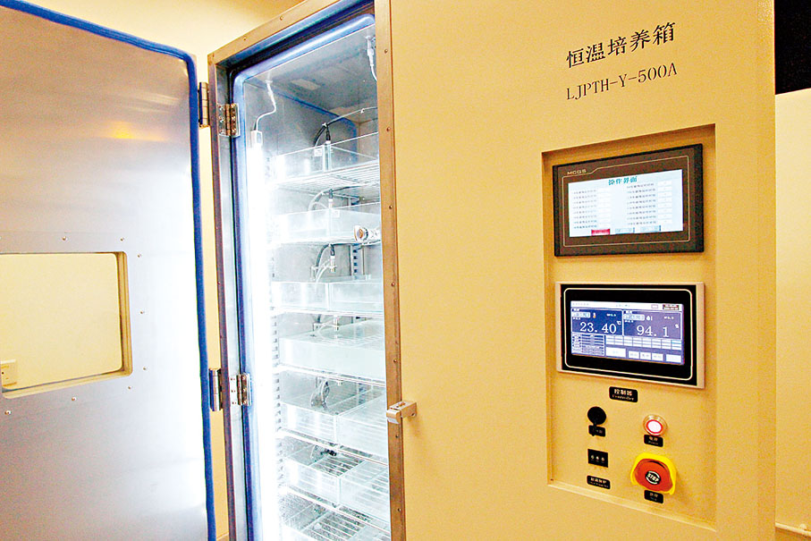 ◆全新的恒溫培養箱格能夠自動調節溫度及濕度，批量化標註化生產BC薄膜。 香港文匯報記者黃艾力  攝