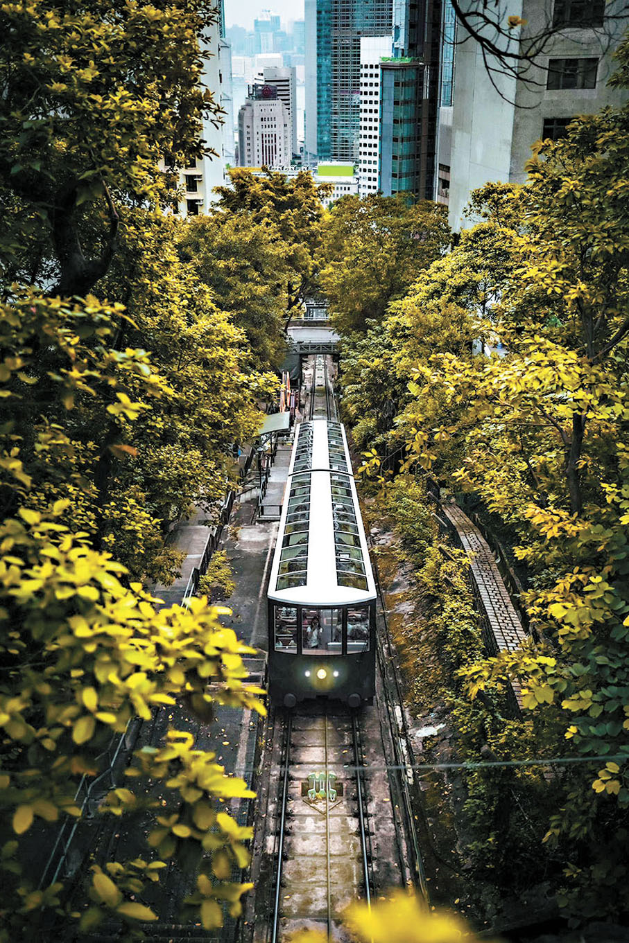 ◆《從城市開往山林的列車》